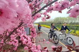花地·青春小说｜赵允亮：“穿越狗”历险记图片