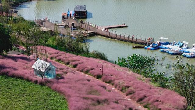 心动！宿城又涨“粉”了
