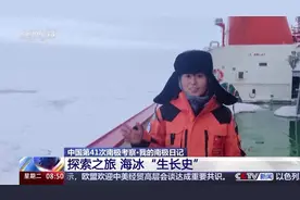 涉及海冰研究、海洋生物等 我国南极科考有了新发现图片