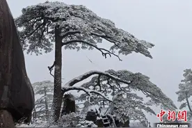 安徽黄山风景区银装素裹美景如画图片
