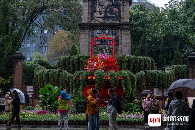 成都人民公园：700多种菊花等你来赏｜图集