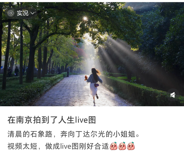 清晨5点，南京这里开始上人了