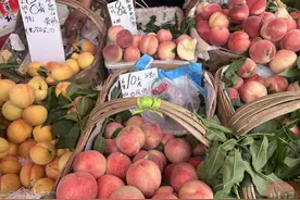 川观探市丨上市推迟但口感更好，四川水蜜桃将大量上市图片