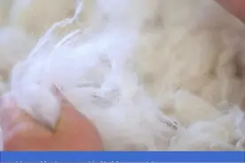 生日薅羊毛，一代人有一代人的鸡蛋要领图片