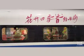 高铁串起诗与远方！昆明往返厦门赏花之旅列车开行图片