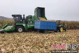 沈阳苏家屯区： 金秋好“丰”景 田间秋收忙图片