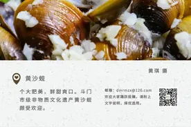 今日起，直降12元！省出几斤菜钱...｜晚安斗门图片