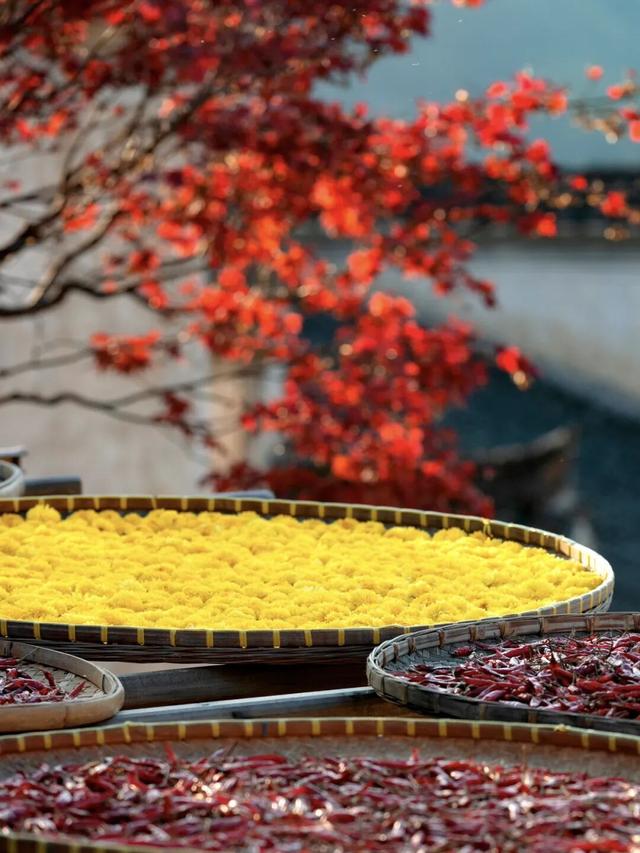 把婺源记忆带回家！婺源两大特色旅游商品上新