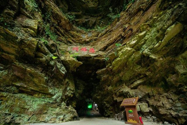 山海交响丨来乐山清凉之地,秒切“空调模式”!