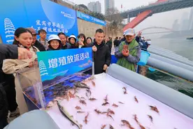 经济观察丨长江十年禁渔，四川如何“练内功”？图片