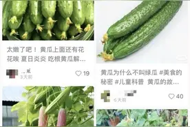 小红书何止旅游搭子涉黄！黄瓜茄子香蕉评论区早已沦陷图片