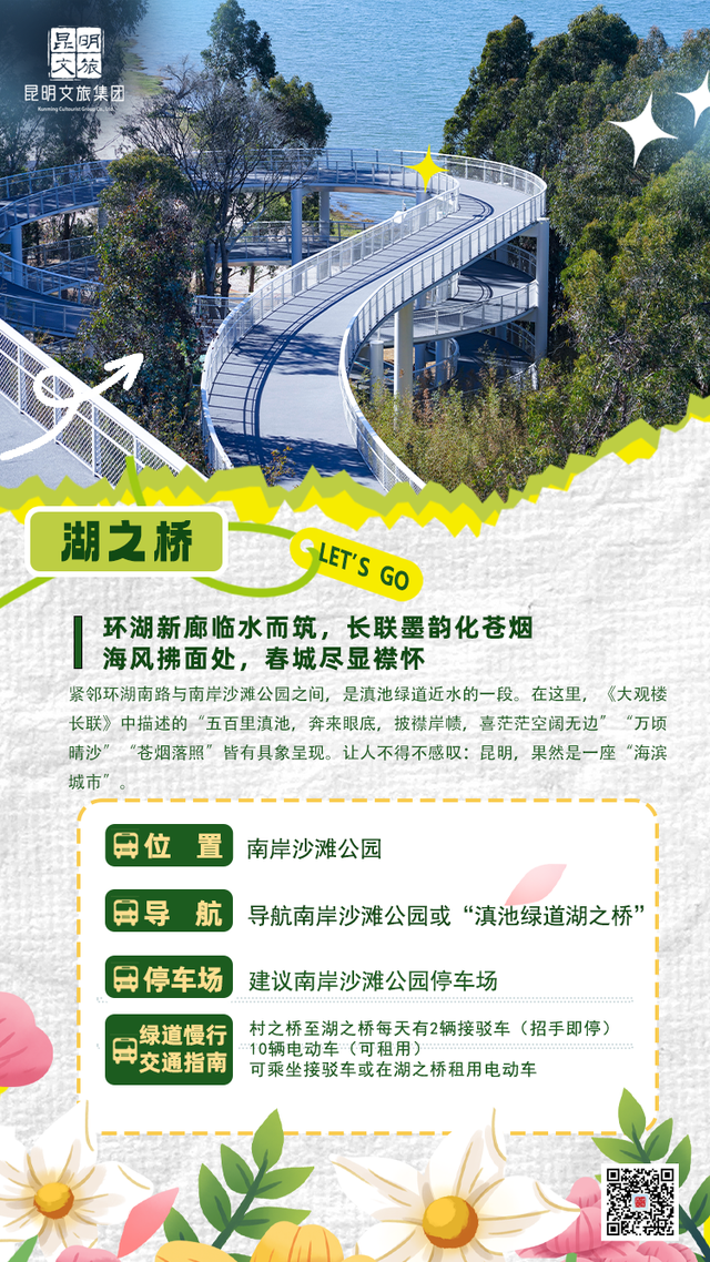 爆爆爆！滇池绿道成为这个暑期最火骑行IP