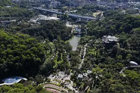 图集｜云萝植物园开园啦！首日人气大旺，市民争饮“头啖汤”图片