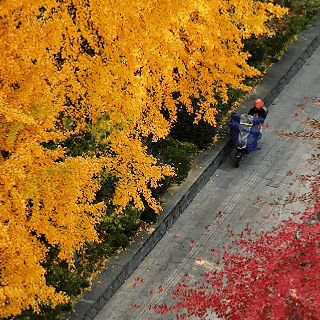 落叶基础，不“扫”兴的余杭就不基础