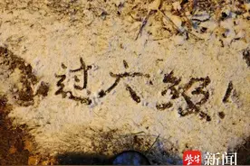 不出所料，四六级考题又上热搜！翻译题再现神题：“能听到的知识”为啥很“扎实”？图片