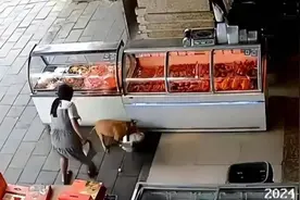 贵州一3岁女童遭黄狗扑倒撕咬受伤，父亲：狗被打死，主人至今没找到图片