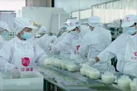 中国经济样本观察·“镇”了不起丨一碗醪糟醉全球！“酿”出来的70亿元“甜蜜产业”图片