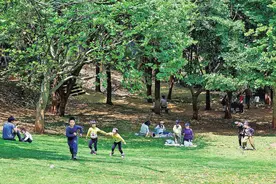 村游、赏花、露营……旅游市场消费活力足图片