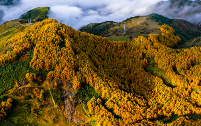 冬季暖阳 凉山不凉 | 彩林与暖阳的双向奔赴
