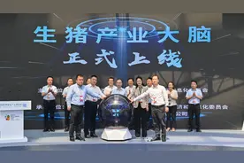养猪也有大模型？重庆“生猪产业大脑”实现大数据“喂”猪图片