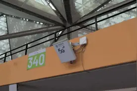 本周末！全国游泳冠军赛将在深圳龙岗开赛图片