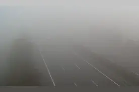 雾+雪+道路结冰！河南多条高速路段禁止所有车辆上站图片