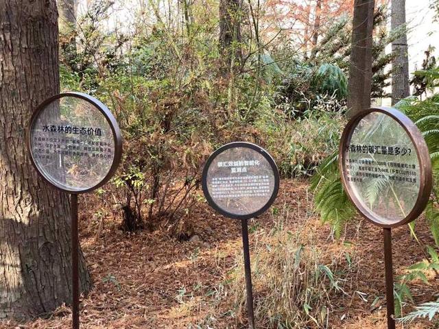 上海公园总数达到1100座！三林滨江城市森林“水森林”已基本建成，计划今年春天开放