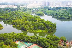 三个融合打造“深中陆港 智创青湾”图片