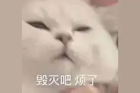 如何科学有效地给蚊子致命一击？图片