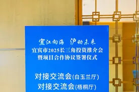 宜宾：“五粮液之都”抢抓新能源风口图片