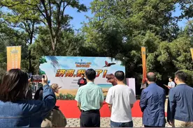 “虚拟动物园”来济南了！带你重回恐龙时代图片