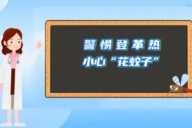 MG动画 | 警惕登革热，小心“花蚊子”！图片