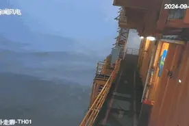 214台风机安然无恙！国家电投广东公司徐闻风电经受超强台风“摩羯”考验图片