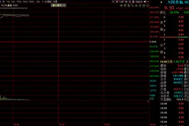 年内最大IPO今日上市，开盘大涨超330%图片