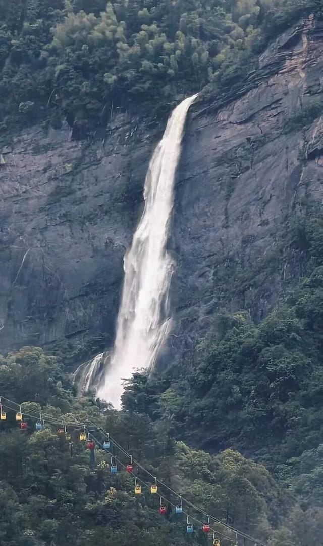 一花一瀑一云烟，庐山春意正当时