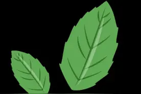 胡同里的停车变化：大栅栏街道停车治理激活老城新生态图片