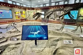 自贡恐龙博物馆入选首批全国试点项目 让恐龙化石“活”起来图片