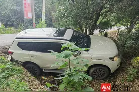 前车左转，后车借道超车，结果冲进路沟中图片