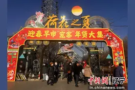 沈阳苏家屯区迎春早市宠客年货大集开市啦 东北特色年货应有尽有图片