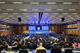 中国代表团出席国际原子能机构第68届大会图片