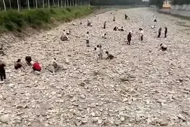 河道内突现碎金，好几百人去“淘金”？真相太离谱！警方：已刑事立案图片
