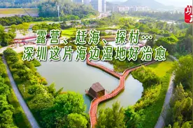 露营、赶海、探村……深圳这片海边湿地好治愈｜重新发现葵涌②图片