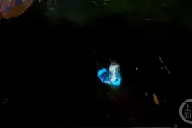 福建平潭游客买石头扔海赏玩“蓝眼泪”，当地文旅回应图片