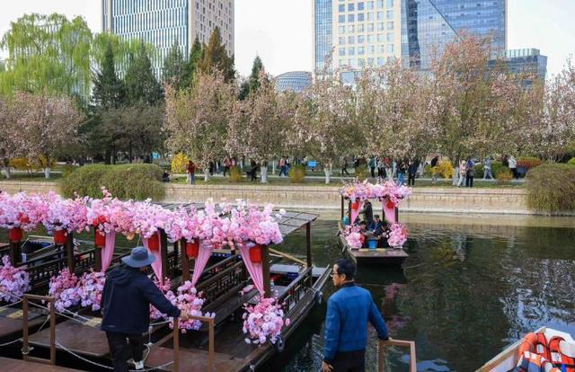 “海棠花溪”摇橹船启航，花期较往年延长一周
