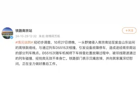 铁路南京站：野猪侵线与列车相撞，机械师处置故障时不幸身亡图片