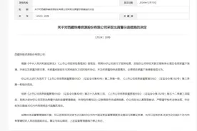 V观财报｜西藏珠峰未审议披露关联交易等被警示图片