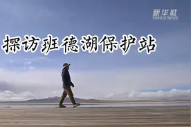 中国故事｜用赤子之心守护雪山家园图片