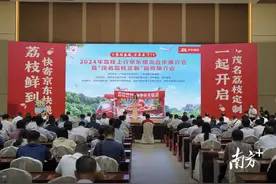 万名快递小哥进荔园，茂名荔枝最快次晨送达图片