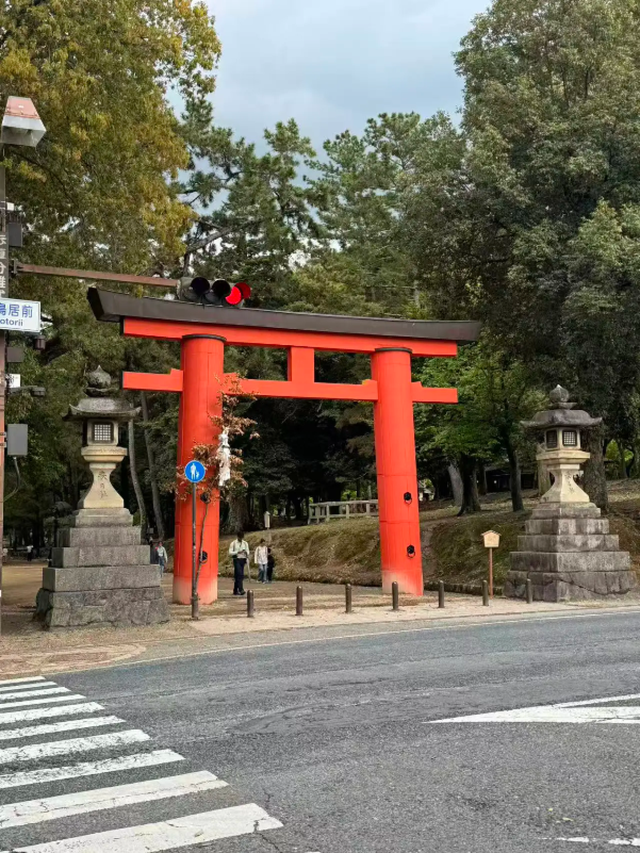 N刷日本的中国游客，为什么更爱京都人瞧不起的大阪？