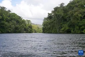 南方振兴｜巴拿马“黄金水道”迎来生态旅游新机遇图片